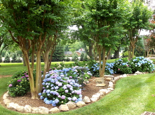 Landscaping with Crape Myrtles
