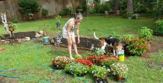Dekie and the coon dog check out the flowers and fertilizer