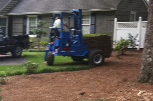 sod delivery on site
