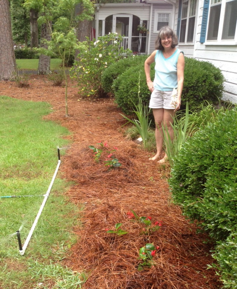 A well planted flower bed in fifteen minutes